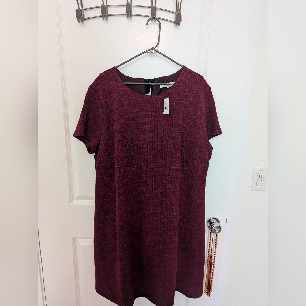 NWT Loft Maroon/Red Shift Dress Size 24